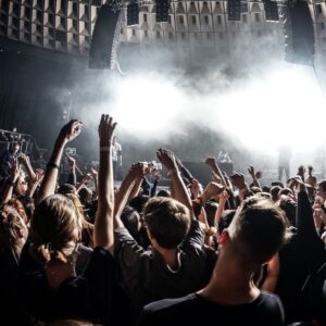 crowd at concert